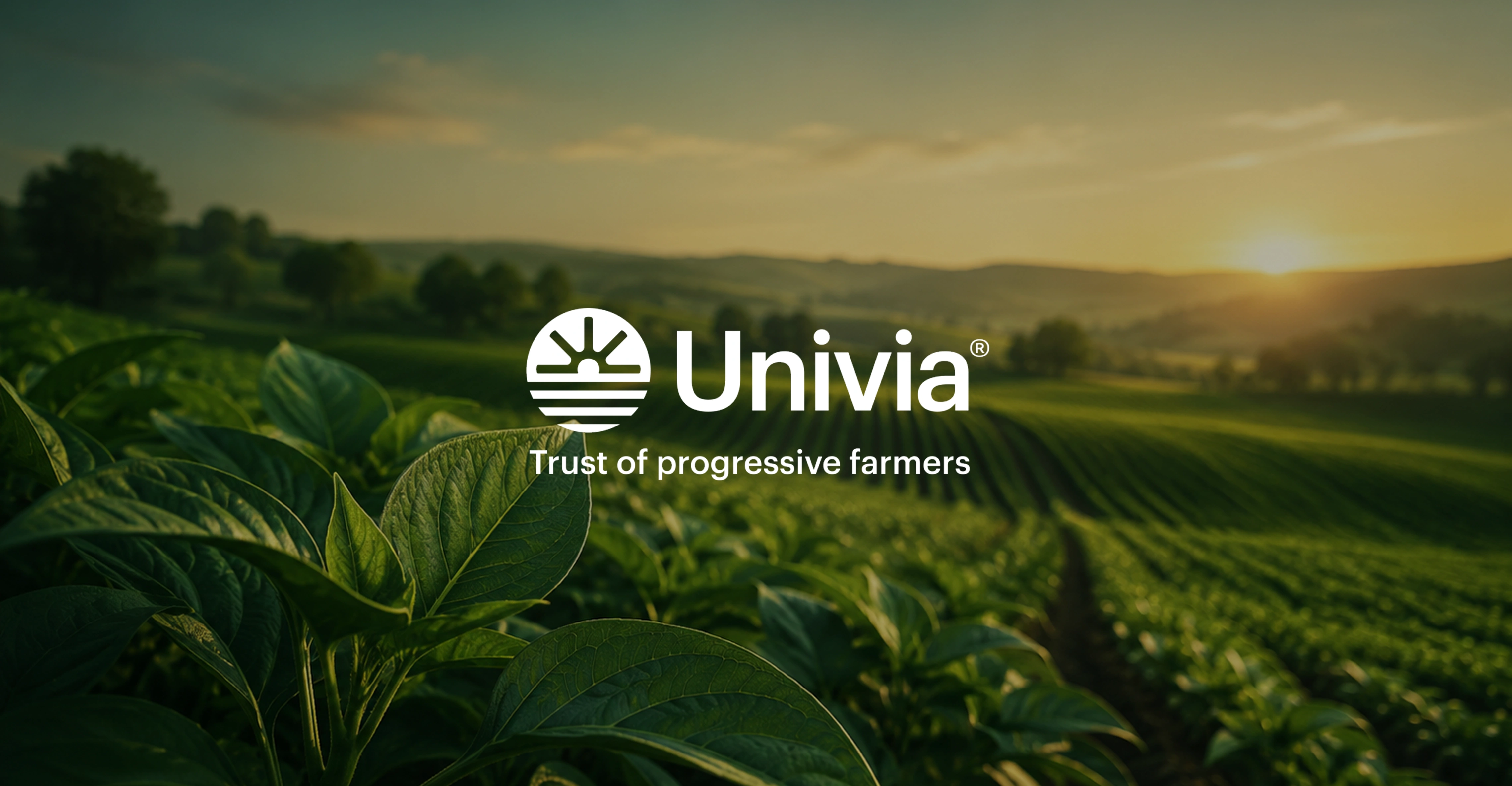 The Univia platform shown across desktop and mobile screens